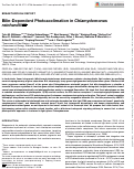 Cover page: Bilin-Dependent Photoacclimation in Chlamydomonas reinhardtii