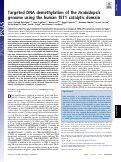 Cover page: Targeted DNA demethylation of the <i>Arabidopsis</i> genome using the human TET1 catalytic domain.