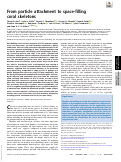 Cover page: From particle attachment to space-filling coral skeletons.