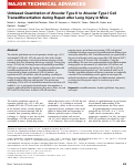 Cover page: Unbiased Quantitation of Alveolar Type II to Alveolar Type I Cell Transdifferentiation during Repair after Lung Injury in Mice