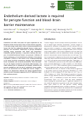 Cover page: Endothelium‐derived lactate is required for pericyte function and blood–brain barrier maintenance