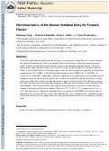 Cover page: Micromechanics of the human vertebral body for forward flexion