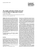 Cover page: The synaptic connections of basket cell axons in the developing rat hippocampal formation