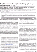 Cover page: Regulation of Gene Transcription by Voltage-gated L-type Calcium Channel, Cav1.3*