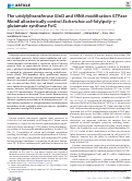 Cover page: The uridylyltransferase GlnD and tRNA modification GTPase MnmE allosterically control Escherichia coli folylpoly-γ-glutamate synthase FolC