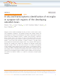 Cover page: In situ and transcriptomic identification of microglia in synapse-rich regions of the developing zebrafish brain