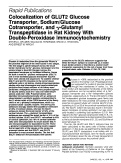 Cover page: Colocalization of GLUT2 Glucose Transporter, Sodium/glucose Cotransporter, and γ-Glutamyl Transpeptidase in Rat Kidney With Double-Peroxidase Immunocytochemistry