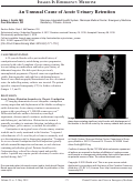 Cover page: An Unusual Cause of Acute Urinary Retention