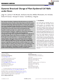 Cover page: Dynamic Structural Change of Plant Epidermal Cell Walls under Strain