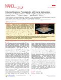 Cover page: Enhanced Graphene Photodetector with Fractal Metasurface