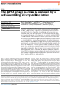 Cover page: The ϕPA3 phage nucleus is enclosed by a self-assembling 2D crystalline lattice.