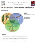 Cover page: The socioeconomics of food hoarding in wild squirrels