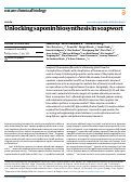 Cover page: Unlocking saponin biosynthesis in soapwort