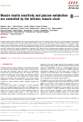 Cover page: Muscle insulin sensitivity and glucose metabolism are controlled by the intrinsic muscle clock