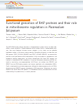 Cover page: Functional genomics of RAP proteins and their role in mitoribosome regulation in Plasmodium falciparum.