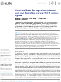 Cover page: Structural basis for capsid recruitment and coat formation during HSV-1 nuclear egress