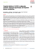 Cover page: Targeted deletion of Tcf7l2 in adipocytes promotes adipocyte hypertrophy and impaired glucose metabolism