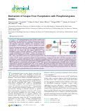 Cover page: Mechanism of Scrapie Prion Precipitation with Phosphotungstate Anions