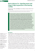 Cover page: Noise induces Ca2+ signaling waves and Chop/S-Xbp1 expression in the hearing cochlea.