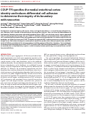 Cover page: COUP-TFI specifies the medial entorhinal cortex identity and induces differential cell adhesion to determine the integrity of its boundary with neocortex.