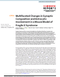 Cover page: Multifaceted Changes in Synaptic Composition and Astrocytic Involvement in a Mouse Model of Fragile X Syndrome