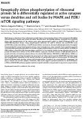 Cover page: Synaptically driven phosphorylation of ribosomal protein S6 is differentially regulated at active synapses versus dendrites and cell bodies by MAPK and PI3K/mTOR signaling pathways