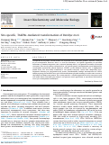 Cover page: Site-specific, TALENs-mediated transformation of Bombyx mori.