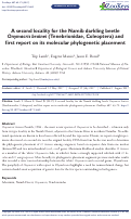 Cover page: A second locality for the Namib darkling beetle Onymacris brainei (Tenebrionidae, Coleoptera) and first report on its molecular phylogenetic placement