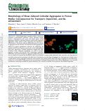 Cover page: Morphology of Shear-Induced Colloidal Aggregates in Porous Media: Consequences for Transport, Deposition, and Re-entrainment