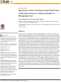 Cover page: Expression of the Tick-Associated Vtp Protein of Borrelia hermsii in a Murine Model of Relapsing Fever