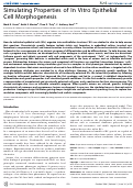 Cover page: Simulating Properties of In Vitro Epithelial Cell Morphogenesis