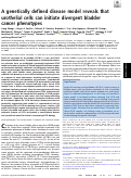 Cover page: A genetically defined disease model reveals that urothelial cells can initiate divergent bladder cancer phenotypes