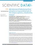 Cover page: Microbiomes of Velloziaceae from phosphorus-impoverished soils of the campos rupestres, a biodiversity hotspot