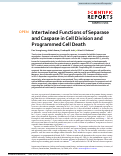 Cover page: Intertwined Functions of Separase and Caspase in Cell Division and Programmed Cell Death