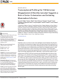 Cover page: Transcriptional Profiling the 150 kb Linear Megaplasmid of Borrelia turicatae Suggests a Role in Vector Colonization and Initiating Mammalian Infection