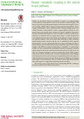 Cover page: Neural–metabolic coupling in the central visual pathway