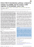 Cover page: Distinct RNA N-demethylation pathways catalyzed by nonheme iron ALKBH5 and FTO enzymes enable regulation of formaldehyde release rates