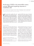 Cover page: Anchorage of VEGF to the extracellular matrix conveys differential signaling responses to endothelial cells