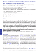 Cover page: Brassica rapa Domestication: Untangling Wild and Feral Forms and Convergence of Crop Morphotypes.