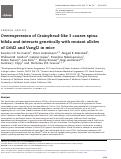 Cover page: Overexpression of Grainyhead-like 3 causes spina bifida and interacts genetically with mutant alleles of Grhl2 and Vangl2 in mice