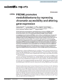Cover page: PRDM6 promotes medulloblastoma by repressing chromatin accessibility and altering gene expression
