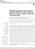 Cover page: Delayed Degradation and Impaired Dendritic Delivery of Intron-Lacking EGFP-Arc/Arg3.1 mRNA in EGFP-Arc Transgenic Mice