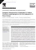 Cover page: Transgenic Overexpression of Interleukin-1β Induces Persistent Lymphangiogenesis But Not Angiogenesis in Mouse Airways