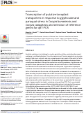 Cover page: Transcription of putative tonoplast transporters in response to glyphosate and paraquat stress in Conyza bonariensis and Conyza canadensis and selection of reference genes for qRT-PCR