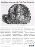 Cover page: Dual Consciousness in Split-Brain Patients