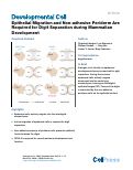 Cover page: Epithelial Migration and Non-adhesive Periderm Are Required for Digit Separation during Mammalian Development