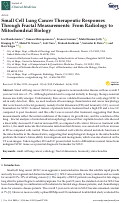 Cover page: Small Cell Lung Cancer Therapeutic Responses Through Fractal Measurements: From Radiology to Mitochondrial Biology