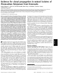 Cover page: Evidence for clonal propagation in natural isolates of Plasmodium falciparum from Venezuela