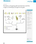 Cover page: Evolution of zygomycete secretomes and the origins of terrestrial fungal ecologies