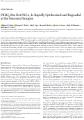 Cover page: PKMζ, But Not PKCλ, Is Rapidly Synthesized and Degraded at the Neuronal Synapse